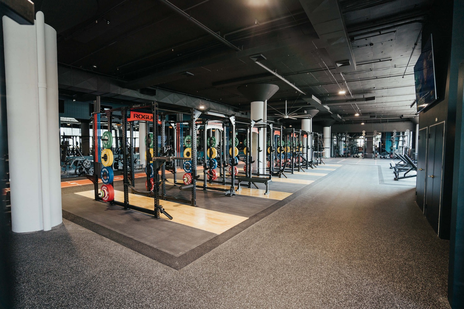 gym fitout cpompany