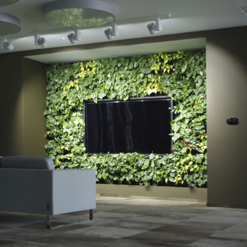 office green wall refurb