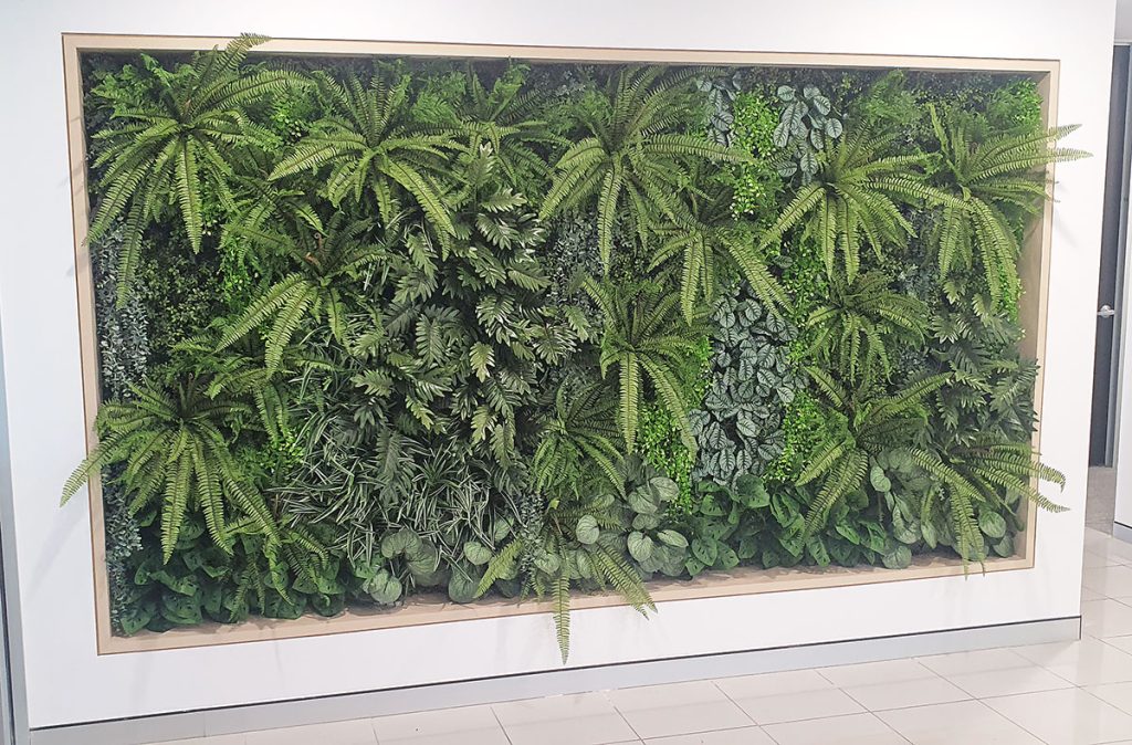 best green wall fitout brisbane